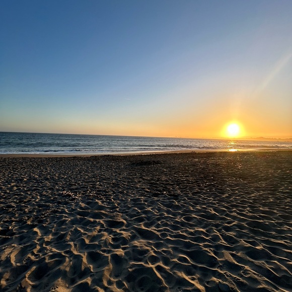 Meet your Posher, Avery - Picture 1 of 1